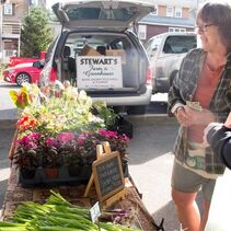 Picture of Judy of Stewart's Farm & Greenhouse selling at farmers market