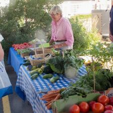 Picture of Suzie at SFS Farms selling at farmers market